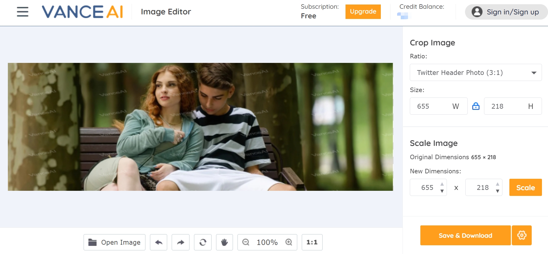 preview the final twitter header picture- step 3